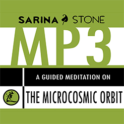 Microcosmic Orbit Medical Qigong Audio Lesson