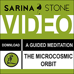 Microcosmic Orbit Medical Qigong Lesson Video